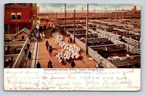 1910 chicago stock yards - stock,