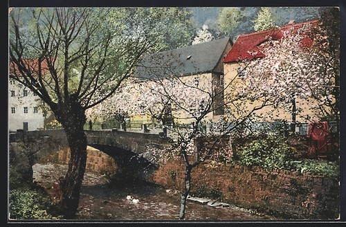 Cartolina artista fotocromia - cartolina, d'artista