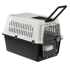 Trasportino cani viaggio