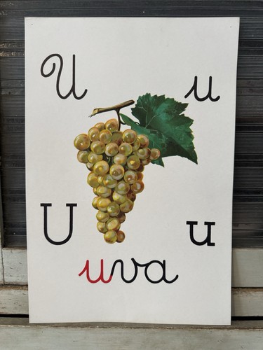 Tavola didattica vintage - didattica,