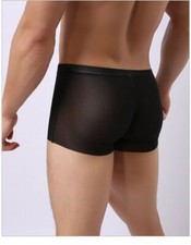 Mens Sheer Boxer Brief Sexy