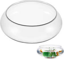 Acquario Trasparente Da Tavolo