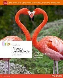 Cuore biologia biennio vol - cuore,
