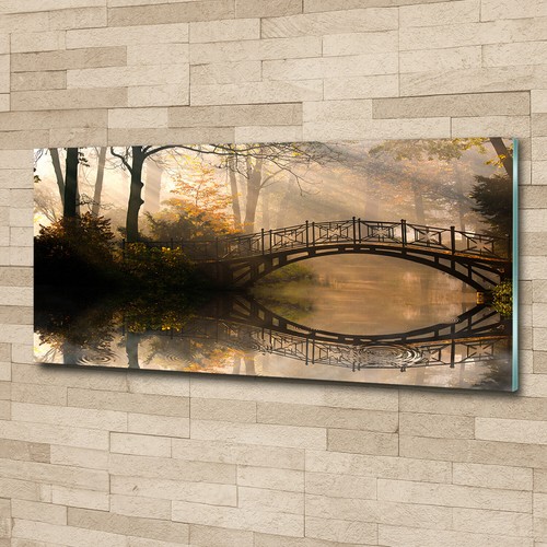 Quadro tulup stampa vetro - quadro, wall