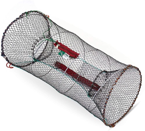 Zite fishing esca pesce reuse - fishing,