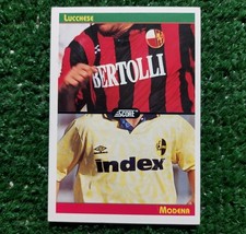 Card score 1993 lucchese - 1993,