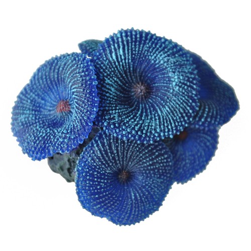 Corallo artificiale della - ,