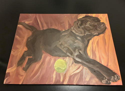 Quadro ritratto labrador - quadro,