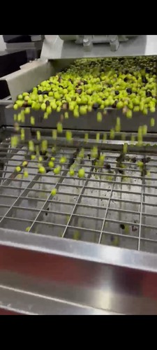 Olio extravergine oliva 5 - olio,