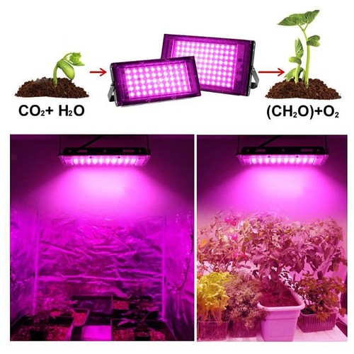 Led coltiva luce crescere - led,