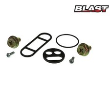 KAWASAKI KLE 500 KIT REVISIONE