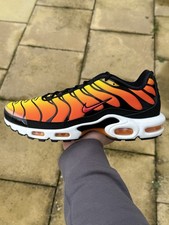 Nike Air Max Plus TN Tiger /