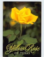 Cartolina Rosa Gialla del