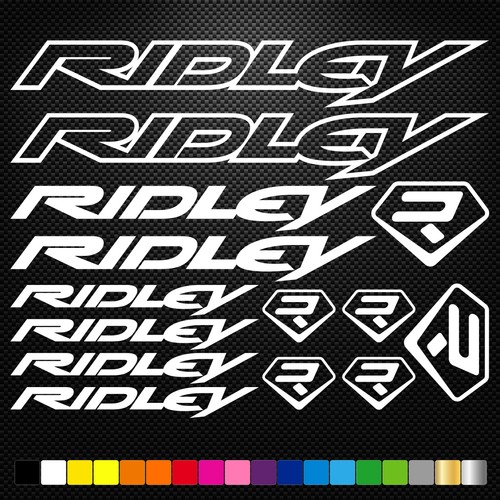 Adatto ridley vinile - ridley,