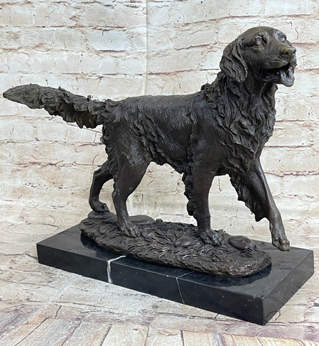 Golden retriever show prova - golden,