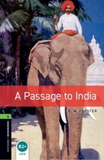 passage to india library level