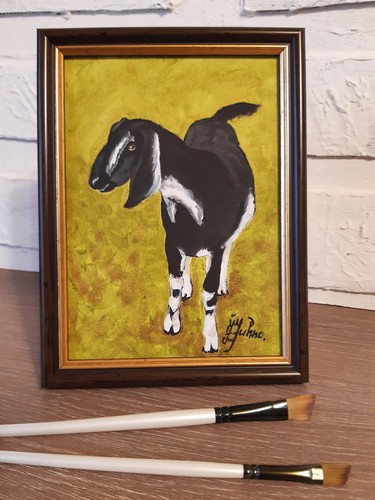 Ritratto capra nera - ritratto,