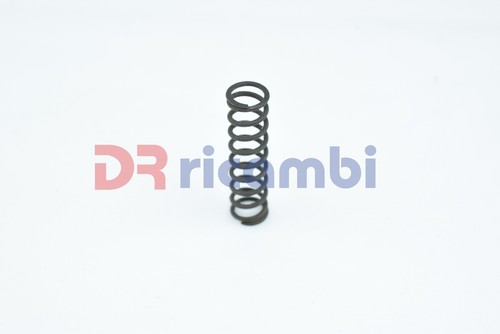 Molla ritegno autobianchi - molla,