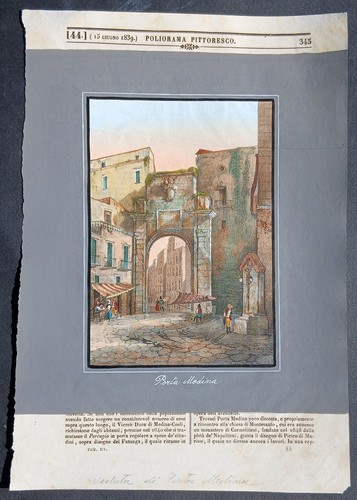 Stampa antica 1891 palmiro