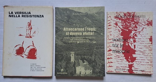 Versilia nella resistenza - la,