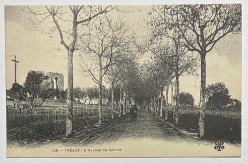 Frejus avenue cannes - l'avenue, de