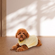  Costume Per Gatto Da Cane