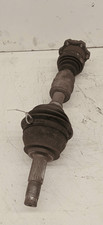 46307687 Semialbero ant