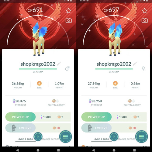 Shiny ponyta candela - shiny,