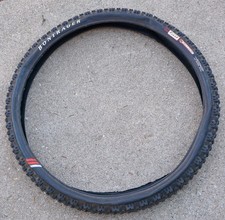 Bontrager Big Earl pneumatico