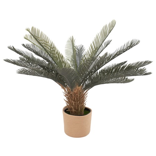 Cycas pianta artificiale - 85,