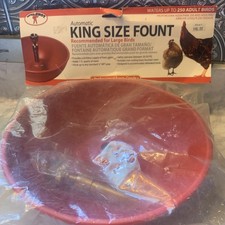 Little Giant Poultry Fount