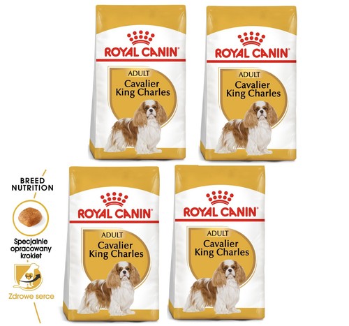 Royal canin cavalier king - royal,