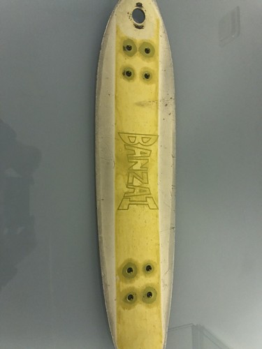Skateboard longboard deck - skateboard,