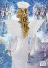 ALI ANGELO PIUMATE BIANCHE