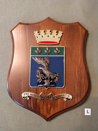 Crest ufficiale del corpo - crest,