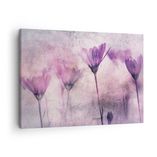 Quadro tela 70x50cm - tela,