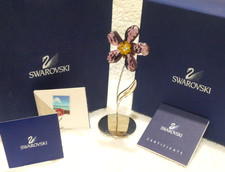 RARO CRISTALLO SWAROVSKI