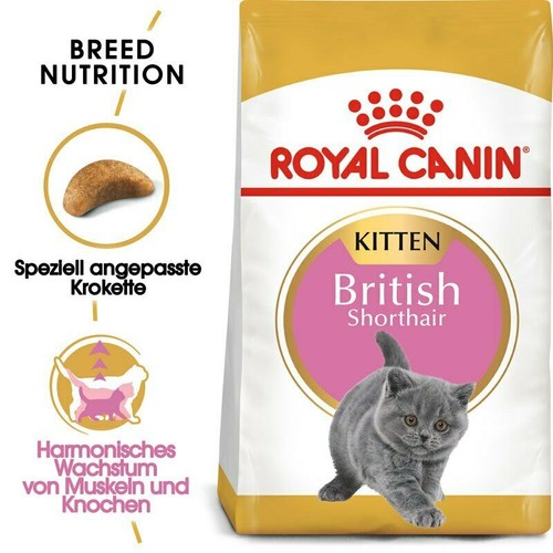Royal canin kitten - royal,