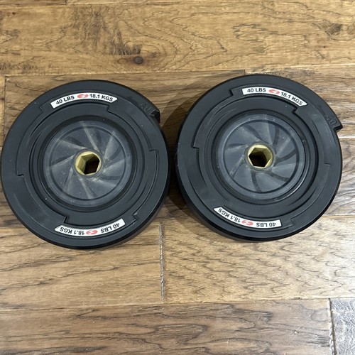 Set piastre pesi - piastre, bowflex