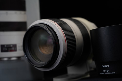 Canon 300 4 - canon, f/4-5.6