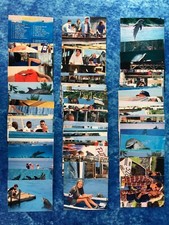 Flipper: The Movie SINGLE