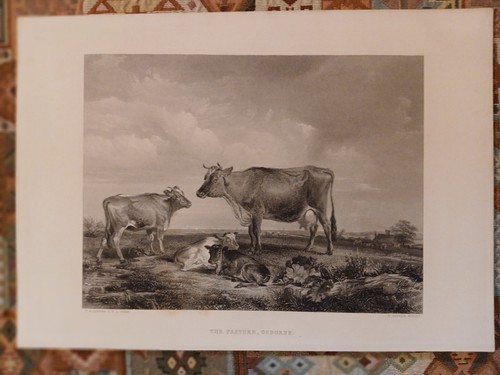 Litografia inglese 1880 di - litografia,