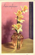 "Buon Compleanno" Buon