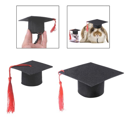Piccolo cappello laurea - piccolo, da