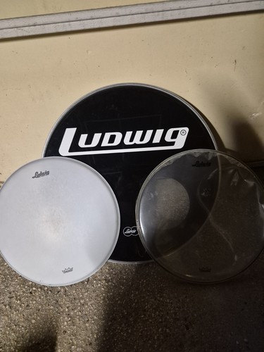Teste batteria ludwig - teste,