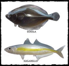 Imitazione pesci esca - imitazione,