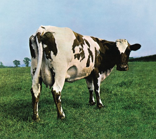 Pink floyd atom heart - heart, mother