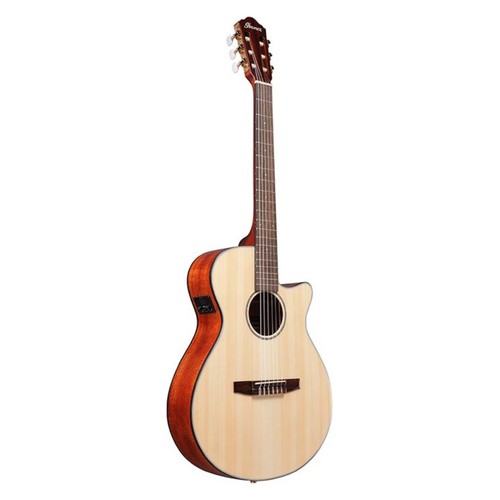 Ibanez aeg50n corda nylon - ibanez, nt