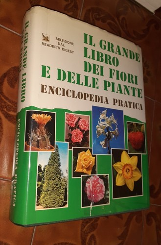Grande libro dei - il,