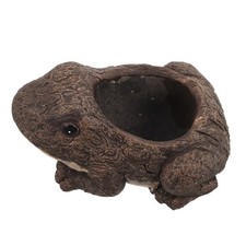  Vaso Pianta Grassa Vasetto